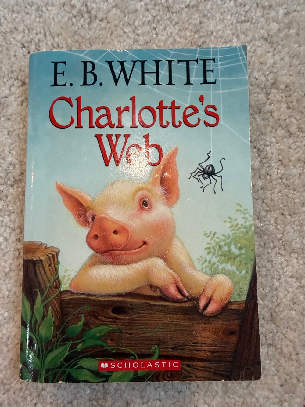 Scholastic Charlotte's Web Cover — Sky Blue & Pink Illustration